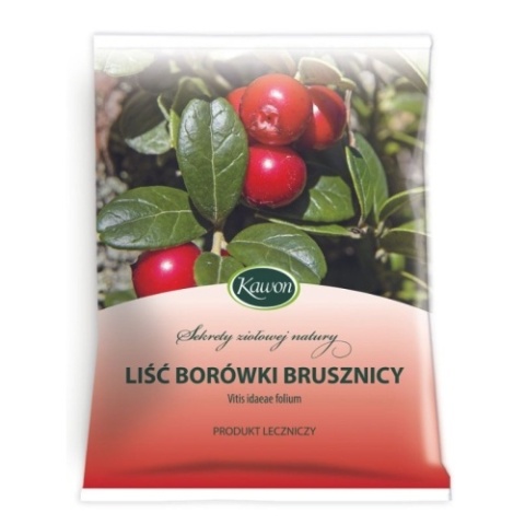 LIŚĆ BORÓWKI BRUSZNICY 50 g KAWON