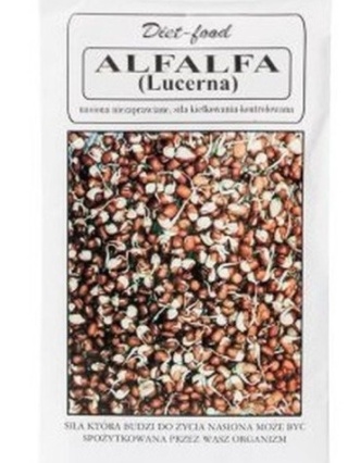 ALFALFA - LUCERNA NA KIEŁKI 80g DIET-FOOD