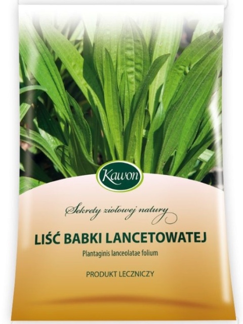 BABKA LANCETOWATA 50g KAWON