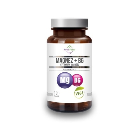 SOUL-FARM MAGNEZ + WIT. B6 650 mg 120 kaps